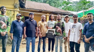 কমলগঞ্জে তিনটি গন্ধগোকুলের শাবক উদ্ধার, রেসকিউ সেন্টারে হস্তান্তর