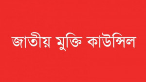 ইসরায়েলের বিরুদ্ধে কার্যকর কূটনৈতিক উদ্যোগ নিন: জাতীয় মুক্তি কাউন্সিল 