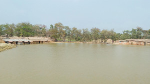 ডুমুরিয়ায় জোয়ারের পানিতে প্লাবিত শতাধিক বাড়িঘর