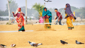 অবিরাম কাজ করেও যারা কোনো নাম-দাম পান না