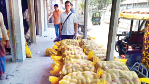 চিন্তায় ফেলা আলুই এনেছে স্বস্তির হাসি
