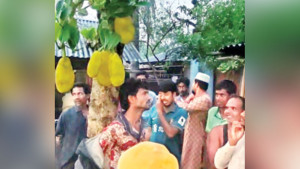 চুরির অভিযোগে যুবককে গাছে বেঁধে রাতভর নির্যাতন