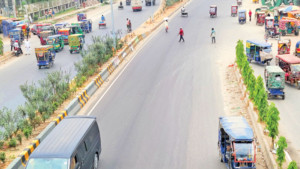 মানুষ চায় ফলদ গাছ, সওজের ভিন্নমত