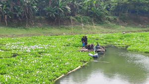 অভিযানে বন্ধ চলে গেলেই চালু