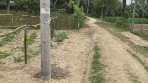 শতবর্ষী রাস্তার ওপর সবজি চাষ আওয়ামী লীগ নেতার