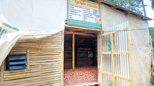 পেঁয়াজ সংরক্ষণের উন্নত পদ্ধতি