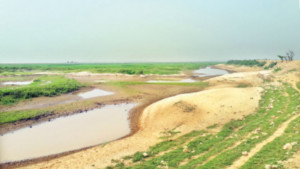মাটি না ফেলেই ২৪ কোটি টাকা বিল তোলার আয়োজন