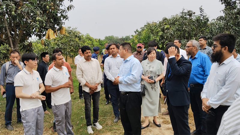 ১৫ লাখ টন আম নিতে চায় চীন ১৫ লাখ টন আম নিতে চায় চীন