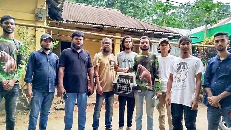 কমলগঞ্জে তিনটি গন্ধগোকুলের শাবক উদ্ধার, রেসকিউ সেন্টারে হস্তান্তর কমলগঞ্জে তিনটি গন্ধগোকুলের শাবক উদ্ধার, রেসকিউ সেন্টারে হস্তান্তর
