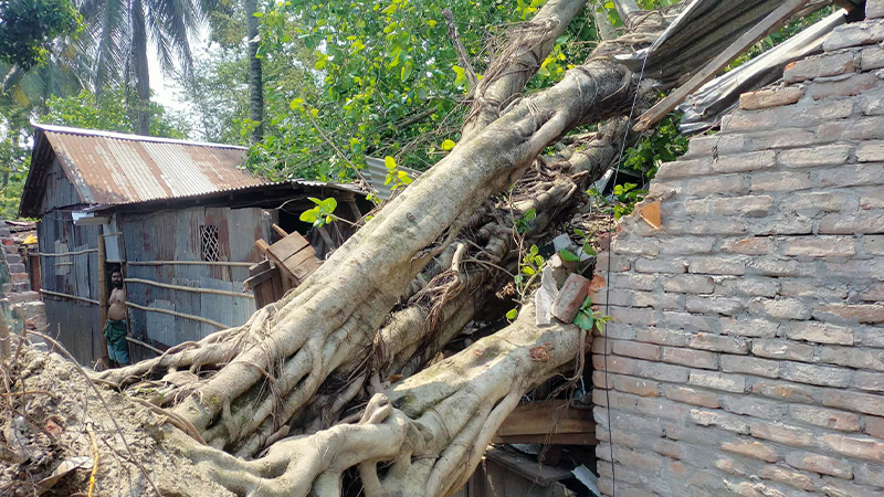 কালবৈশাখী ঝড়ে রংপুরে ব্যাপক ক্ষতি কালবৈশাখী ঝড়ে রংপুরে ব্যাপক ক্ষতি