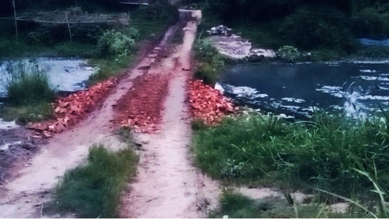 নদীতে বাঁধ দিয়ে কৃষিজমির মাটি কাটছেন যুবলীগ নেতা নদীতে বাঁধ দিয়ে কৃষিজমির মাটি কাটছেন যুবলীগ নেতা