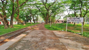 ট্রেনে কাটা পড়ে মারা গেল বাকৃবির গবেষণা খাতের ২০টি ভেড়া 