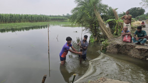 অপরিকল্পিত পুকুর খননে ডুবছে কৃষকের স্বপ্ন