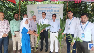 ফরিদপুরে শাহজালাল ইসলামী ব্যাংকের বৃক্ষরোপণ