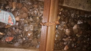 রাতে রেললাইনে শিকল পেঁচিয়ে নাশকতার চেষ্টা