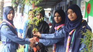 কুড়িগ্রামে সবুজ উৎসব অনুষ্ঠিত