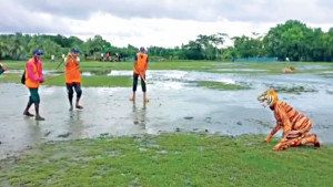 বাঘ রক্ষায় প্রতীকী মহড়া