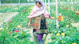 ফুল চাষে দক্ষতা বাড়াতে  সহায়তা পাচ্ছেন  যশোরের ১২০০ নারী