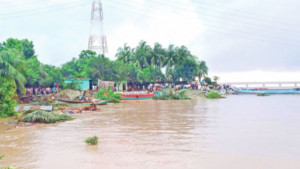 এক মাসে পদ্মায় বিলীন ৭০০ মিটার বাঁধ
