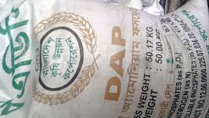 ঘাটাইলে সার আছে, সার নেই