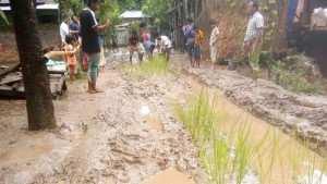 কাদায় একাকার রাস্তায়  চারা লাগিয়ে প্রতিবাদ