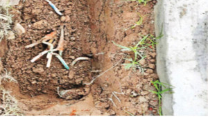 বিদ্যুৎহীন মওলানা ভাসানী সেতু, বাড়ছে নিরাপত্তা ঝুঁকি
