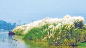 শরৎ এসেছে মনের আকাশে...