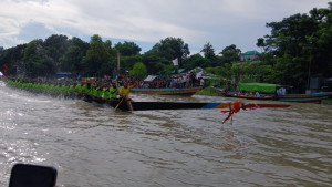 নৌকাবাইচ দেখতে ইছামতী তীরে জনতার ঢল