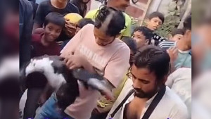 হাঁস চুরির অভিযোগে মাথার চুল কেটে দিয়ে নাচানো হলো দুই তরুণকে