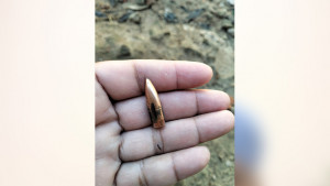 টেকনাফ সীমান্তে গোলাগুলির শব্দে আতঙ্ক