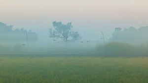 মৌসুমের সর্বনিম্ন তাপমাত্রা দিনাজপুরে