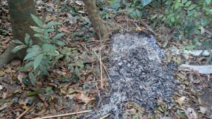 শরীয়তপুরে মুক্তিযোদ্ধার কবরে আগুন 