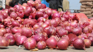সোনামসজিদ বন্দর দিয়ে ভারত থেকে এলো পেঁয়াজ