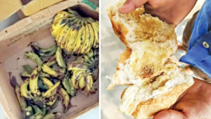 পুষ্টিকর খাবারের নামে শিশুরা পাচ্ছে নষ্ট কলা-রুটি