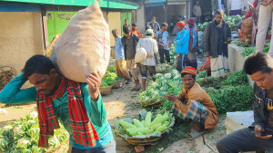 সবজিতে উৎপাদন খরচ পাচ্ছেন না স্থানীয় চাষিরা
