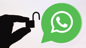বিশেষ সুরক্ষায় হোয়াটসঅ্যাপে যা করবেন