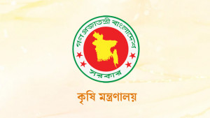 বন্যায় ক্ষতিগ্রস্ত কৃষকের হাতে প্রণোদনা পৌঁছে যাচ্ছে বিকাশে