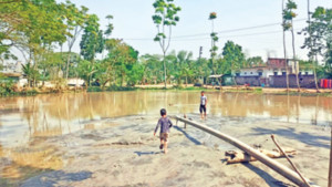 হাউজিংয়ের থাবায় হারাতে যাচ্ছে আরেকটি পুকুর