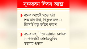 ১০ আগ্রাসনে ধুঁকছে বিশ্বের  সবচেয়ে বড় ম্যানগ্রোভ বন