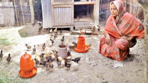 শিরিনার আঙিনায়  ‘সোনার হাঁস’