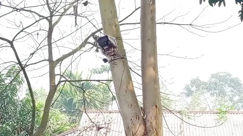 কুড়িগ্রাম সীমান্তে শূন্যরেখায় বসানো সিসি ক্যামেরাটি সরাল বিএসএফ কুড়িগ্রাম সীমান্তে শূন্যরেখায় বসানো সিসি ক্যামেরাটি সরাল বিএসএফ