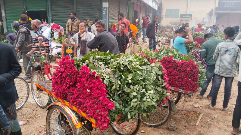 গদখালীতে শেষ মুহূর্তেও বাড়ল না ফুলের দাম গদখালীতে শেষ মুহূর্তেও বাড়ল না ফুলের দাম