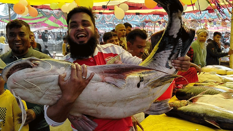 বগুড়ায় ঐতিহ্যবাহী পোড়াদহ মেলা, বিশাল মাছ ও বাহারি মিষ্টিতে জমজমাট উৎসব বগুড়ায় ঐতিহ্যবাহী পোড়াদহ মেলা, বিশাল মাছ ও বাহারি মিষ্টিতে জমজমাট উৎসব