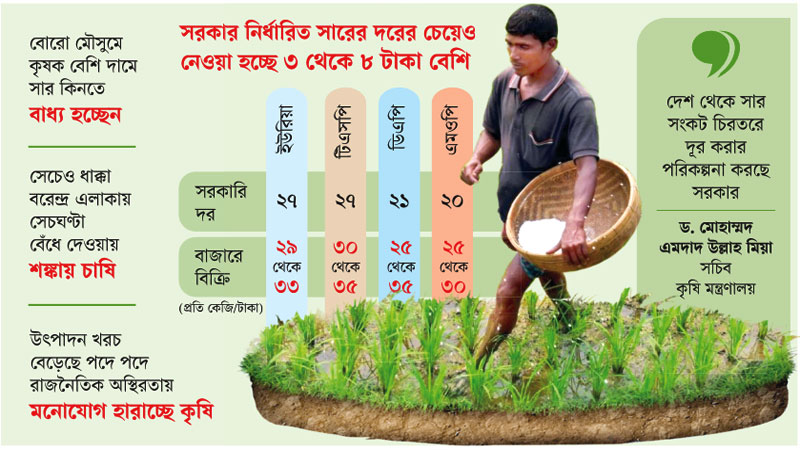 ধান আবাদের সুসময়ে চাষির দুঃসময় ধান আবাদের সুসময়ে চাষির দুঃসময়