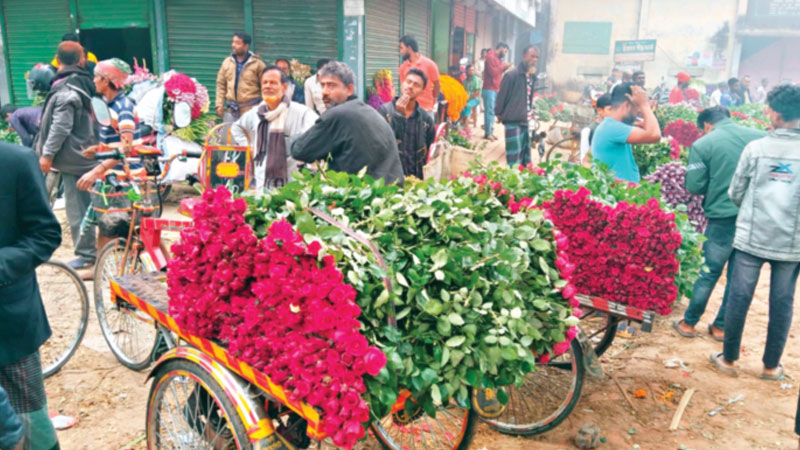 শেষ মুহূর্তেও গদখালীতে বাড়ল না ফুলের দাম শেষ মুহূর্তেও গদখালীতে বাড়ল না ফুলের দাম