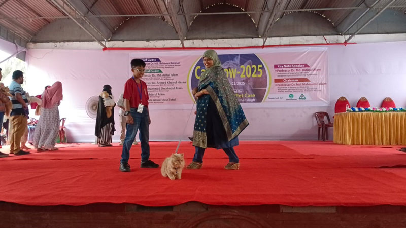 বিড়ালপ্রেমীদের মিলনমেলা বিড়ালপ্রেমীদের মিলনমেলা