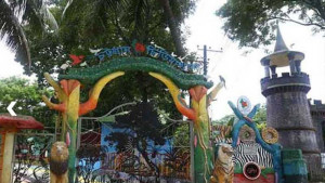 তীব্র শীতে ‘প্রাণহীন’ পাঁচ  শতাধিক পশুপাখি