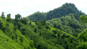 পার্বত্যাঞ্চলে গত বছর ২১ জনকে হত্যা