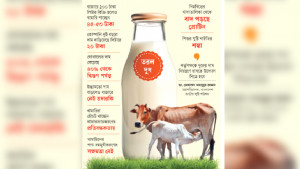 কোম্পানি নিচ্ছে দুধের স্বাদ, খামারির মনে বিষাদ