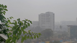 কুয়াশায় ঢাকা রাজধানী, বেড়েছে শীতের তীব্রতা